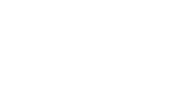 BlueWild Press logo