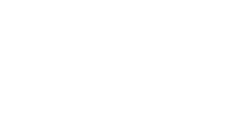 BlueWild Press