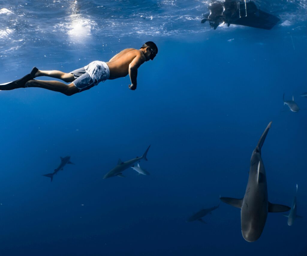 A man swimming alongside sharks in open ocean, showcasing underwater adventure and marine life.