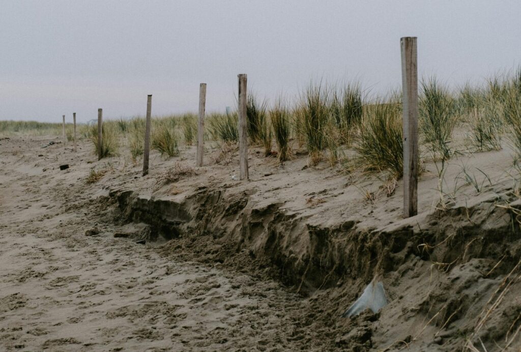 Quiet beach scene with wooden posts and grassy dunes under an overcast sky.