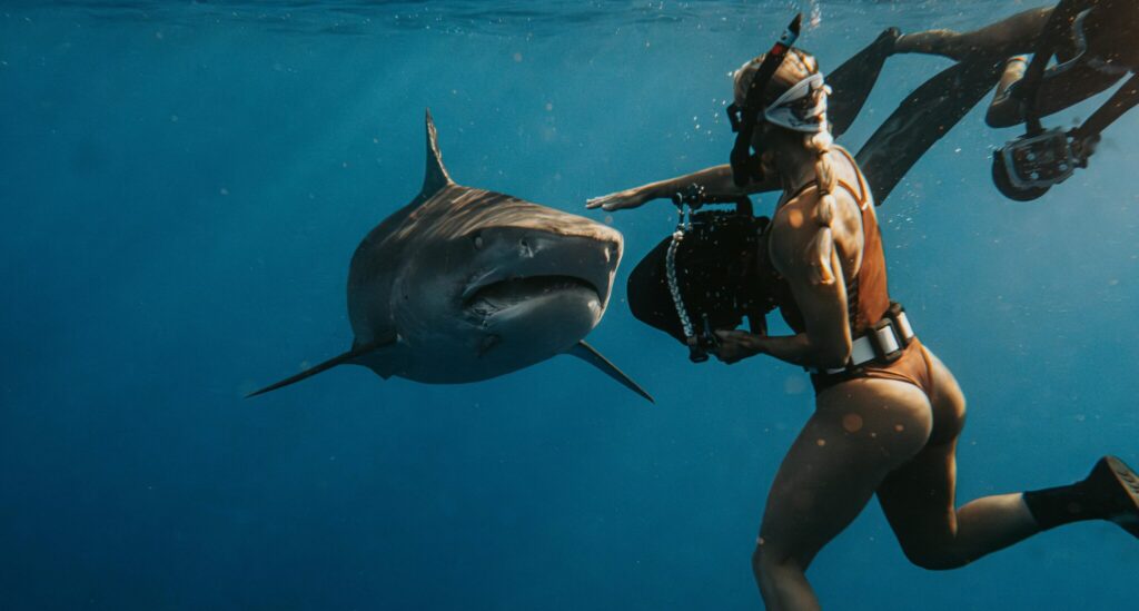 A female scuba diver swimming alongside a shark in the deep blue ocean.