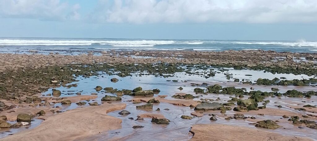 Explore the tranquil beauty of Casablanca's coastline at low tide with rocks and clear blue skies.