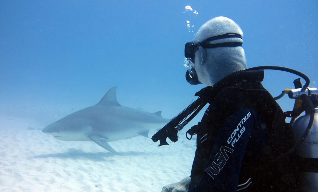 Diving adventure with a bull shark encounter underwater, showcasing ocean exploration and marine life.