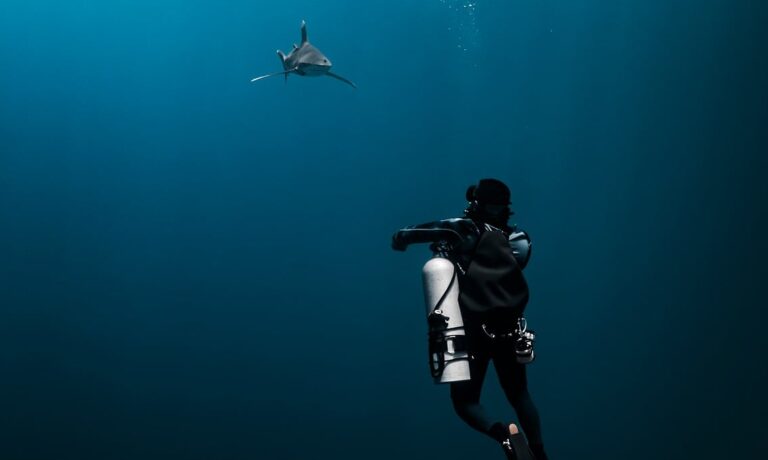 longimanus, longi manus, oceanic whitetip shark, shark, diver, dive, sea, nature, underwater, water, ocean, fishes, egypt, adventure, to travel, sidemount, man, sports