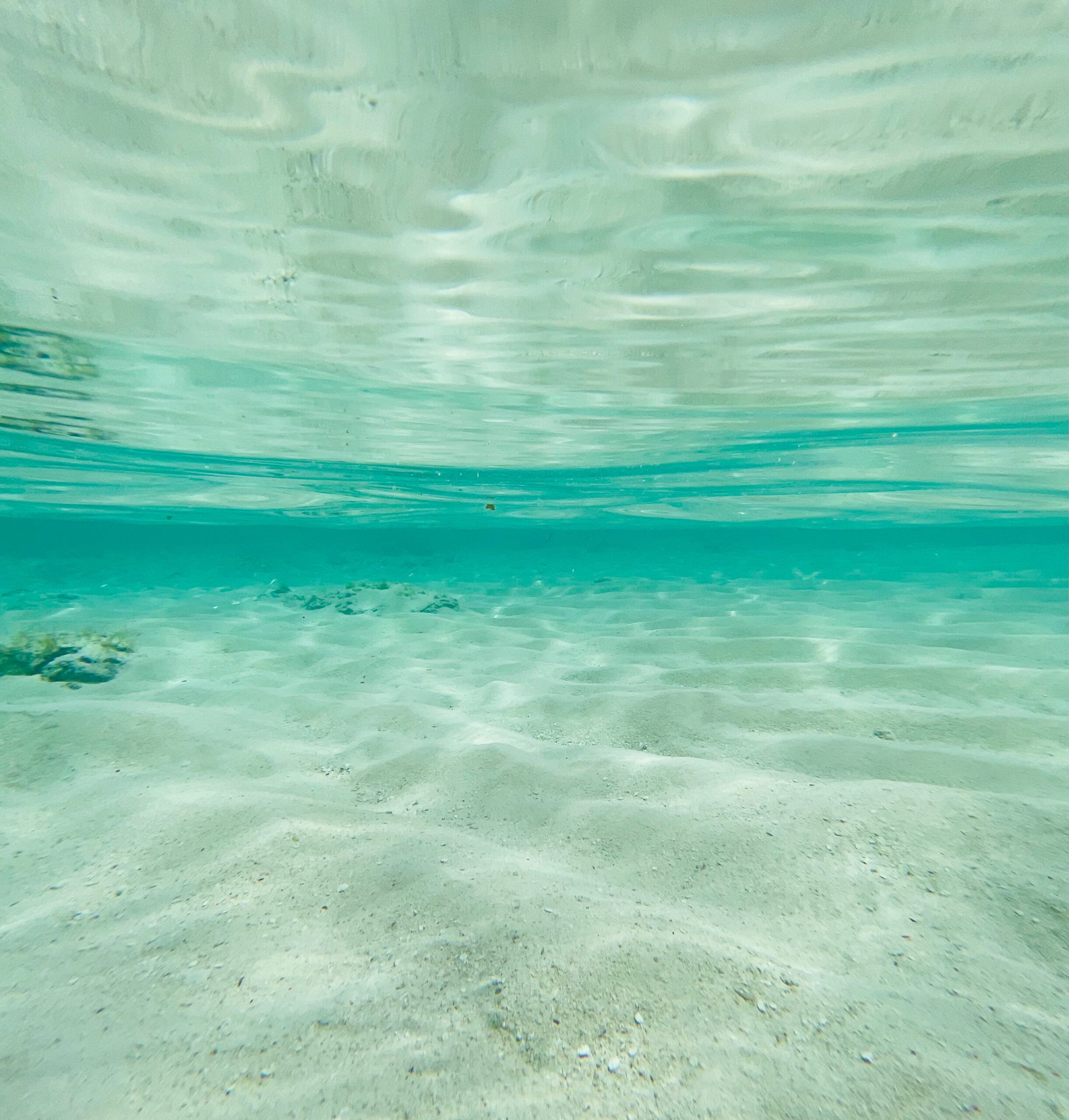 Peaceful underwater scene with clear turquoise water and sandy bottom, perfect for relaxation themes.