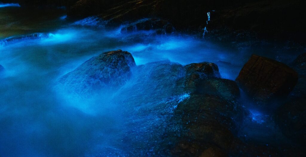 Captivating view of bioluminescent water illuminating rocks in a dark, serene setting.